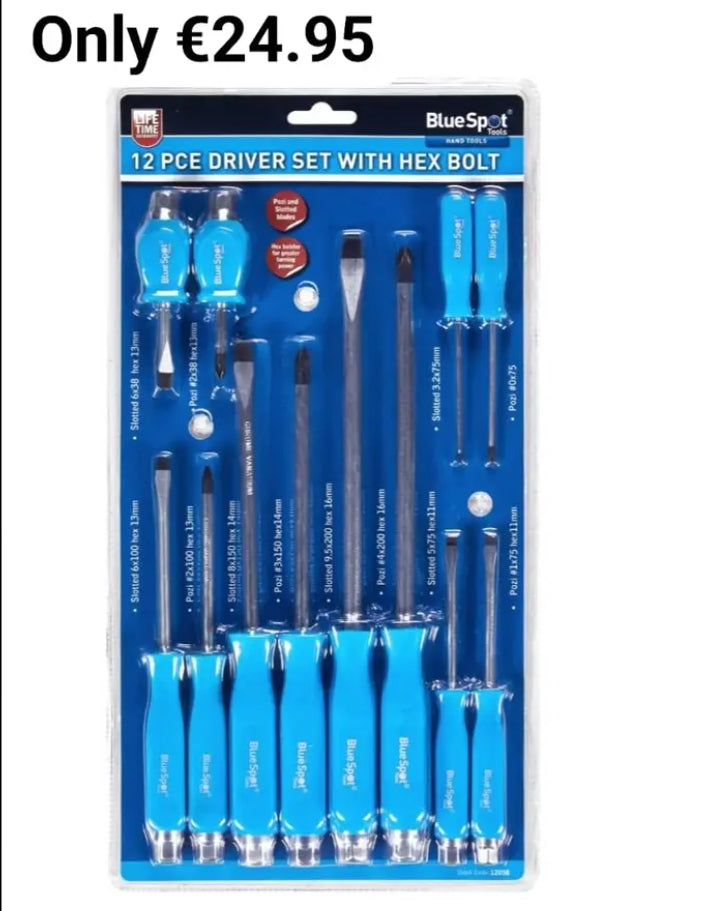 BlueSpot Tools Hex Drive Screwdriver Set,12 Piece - Watson Hire