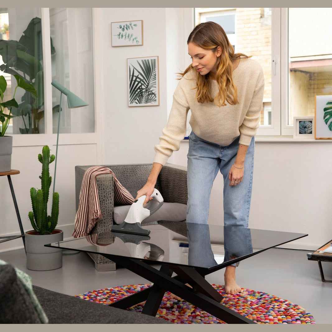 KARCHER WV 1 CORDLESS WINDOW VAC