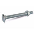 CARRIAGE BOLT ZP M10X75 BAG 10 - Watson Hire