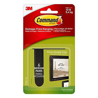 COMMAND PICTURE HANGING STRIPS