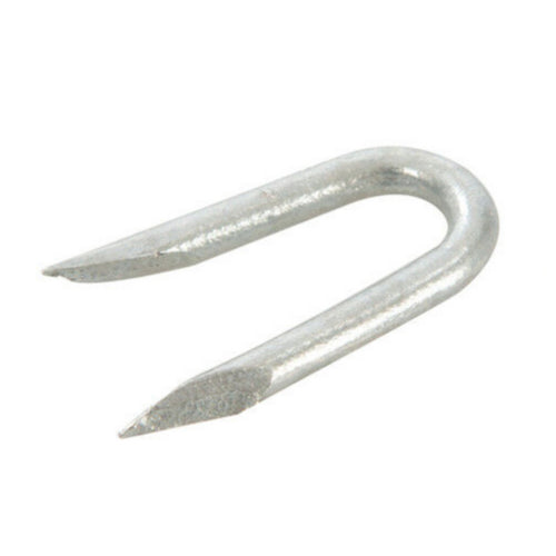 GALVANISED STAPLES 20MM  (75G)