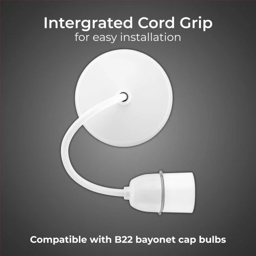 BG LAMPHOLDER 100 WATT T2