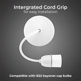 BG LAMPHOLDER 100 WATT T2