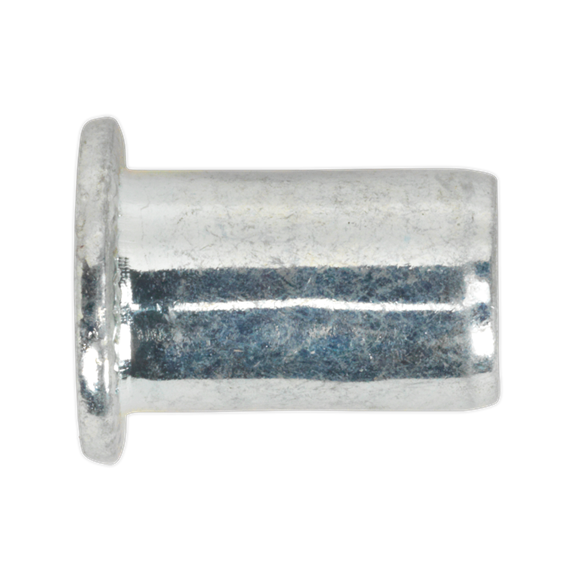 SEALEY THREADED INSERT (RIVET NUT) M10 REGULAR PACK OF 50