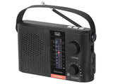 TREVI WIRELESS SOLAR RADIO BT RECHARGEABLE