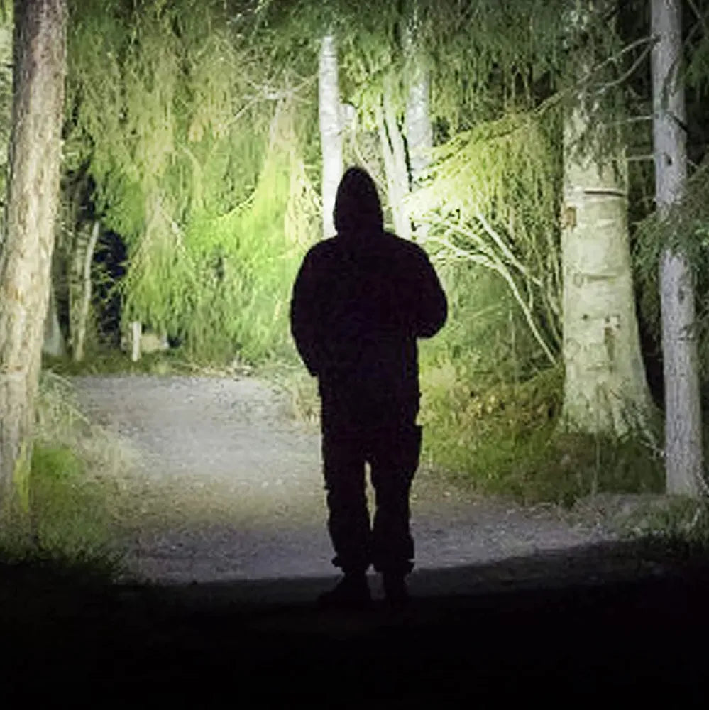 DEKTON RECHARGEABLE MULTIFUNCTION SPOT LIGHT 4 BEAM